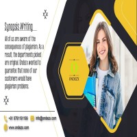 Synopsis writing service 