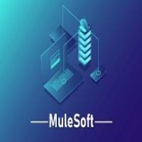 Mulesoft Online Training 