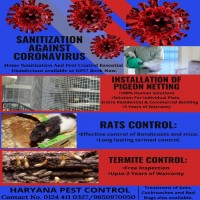 Pest Control Service in Haryana